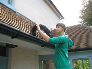 Weatherproof Windows - Gutter Brush