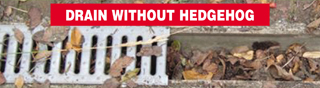 Drain without Hedgehog